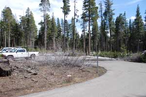 Photo of Echo Lake Sno-Park, Eldorado National Forest, CA