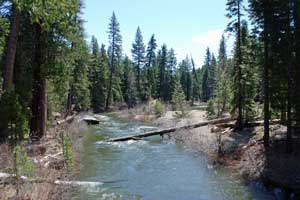 Photo of Silver Fork of the American River, Tahoe National Forest, CA