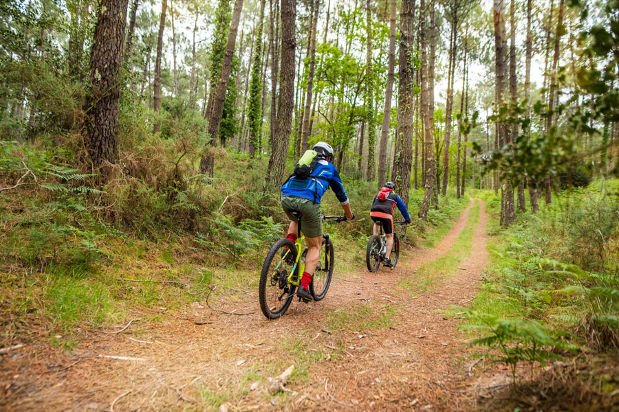 photo of two mountain bikers, CA