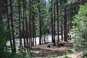 Photo of Sand Flat Campground, Eldorado National Forest, CA